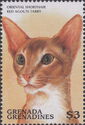 Oriental shorthair red Agouti tabby