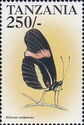 The postman butterfly (Heliconius melpomena)