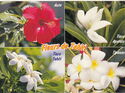 Flowers of | Fleurs de Tahiti