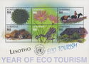 Year of Ecotourism