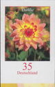 Dahlia (Dahlia variabilis)