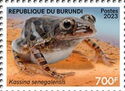 Senegal Running Frog (Kassina senegalensis)