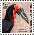 Southern Ground-Hornbill (Bucorvus Leadbeateri)