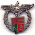 Presidential Guard Badge