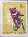 Circus - Asian Black Bear (Ursus thibetanus) on Bike