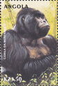 Mountain Gorilla (Gorilla beringei)