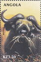 Cape Buffalo (Syncerus caffer)