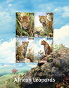African Leopards