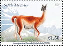 Guanaco (Lama guanicoe)