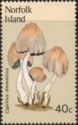 Coprinus domesticus