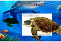 Fauna Sea turtles