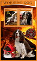 Fauna Firedogs
