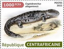 Hellbender (Cryptobranchus alleganiensis)