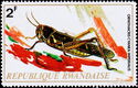 Grasshopper (Ornithacris imperialis)
