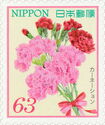 Carnations
