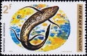 Marbled Lungfish (Protopterus aethiopicus)