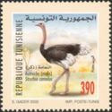 Ostrich (Struthio camelus)