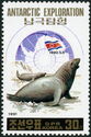 Southern Elephant Seal (Mirounga leonina)