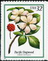 Pacific Dogwood (Cornus suttallii)
