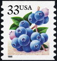 Fruit Berries:Blueberries