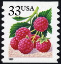 Fruit Berries: Raspberries