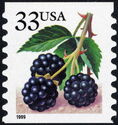 Fruit Berries: Blackberries