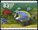 Powderblue Surgeonfish (Acanthurus leucosternon)