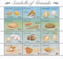 Seashells of Grenada