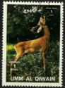 Western Roe Deer (Capreolus capreolus)