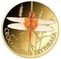3,000 CFA Francs (Wonder World of Dragonflies - Crocothemis Erythraea)