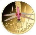 3,000 CFA Francs (Wonder World of Dragonflies - Trithemis Aurora)