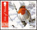European Robin (Erithacus rubecula)
