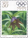 Black Lily (Fritillaria camschatcensis)