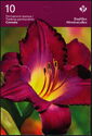 Daylilies - Booklet