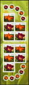 Daylilies - Booklet