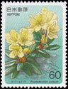 Rhododendron aureum