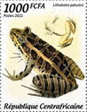 Pickerel Frog (Lithobates palustris)