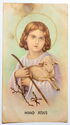 "Jesus - Good Shepherd", Buenos Aires, Industria Argentina.Santeria Pontificia "Barra".