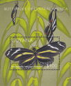 Zebra Butterfly (Heliconius charitonius)
