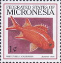 White-tipped Soldierfish (Myripristis vittata)