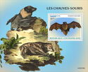 New Zealand Wattled Bat (Scotophilus tuberculatus)