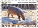 Hippopotamus (Hippopotamus amphibius)