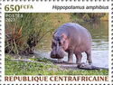 Hippopotamus (Hippopotamus amphibius)