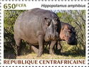 Hippopotamus (Hippopotamus amphibius)