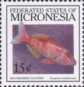 Multibarred Goatfish (Parupeneus multifasciatus)