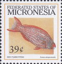 Red Parrotfish (Scarus atropectoralis)
