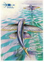 Flying fish