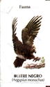 Buitre Negro/Zorro