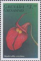 Masdevallia coccinea