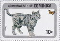 European Tabby (Felis silvestris catus)